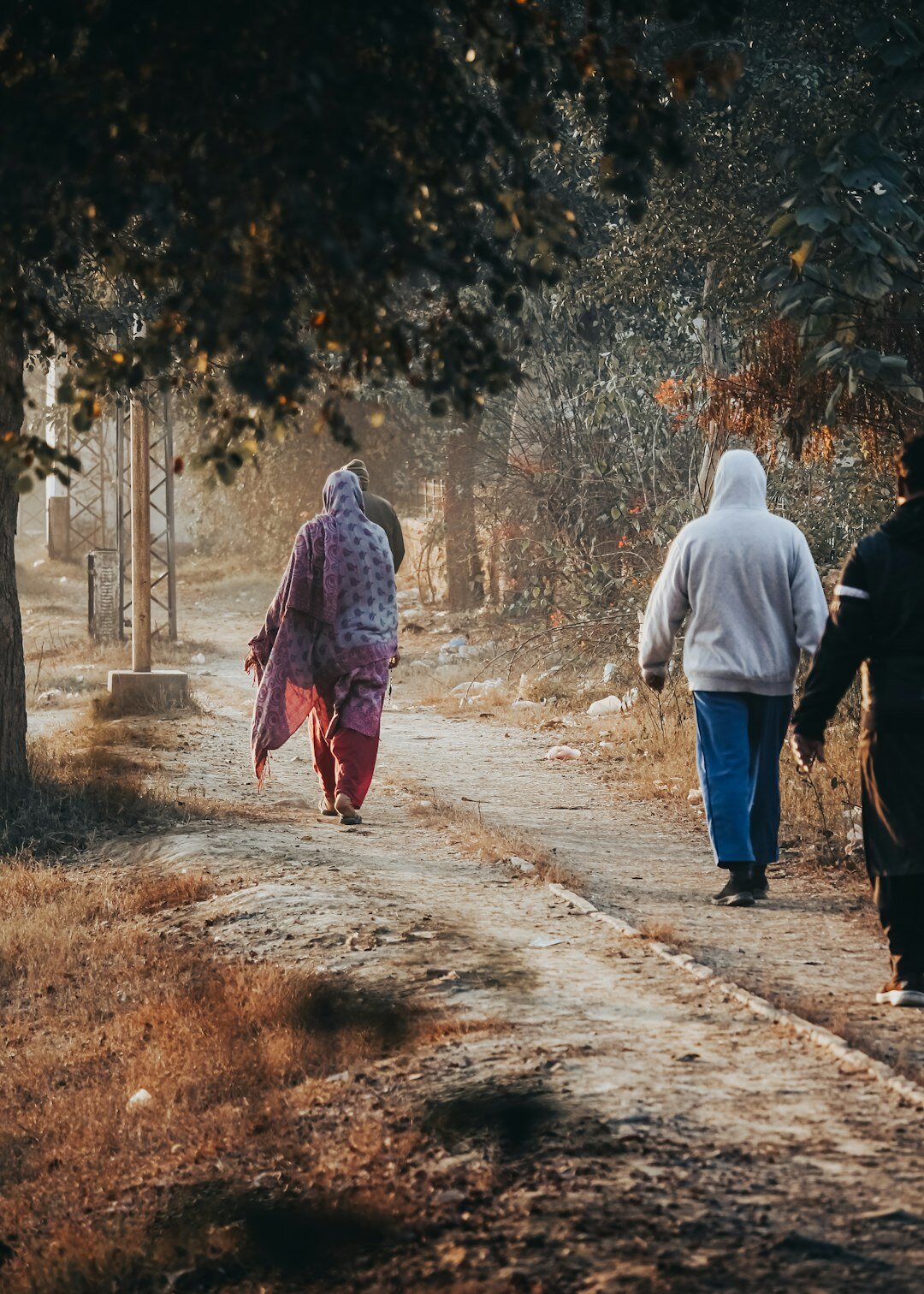 seniors walking in park